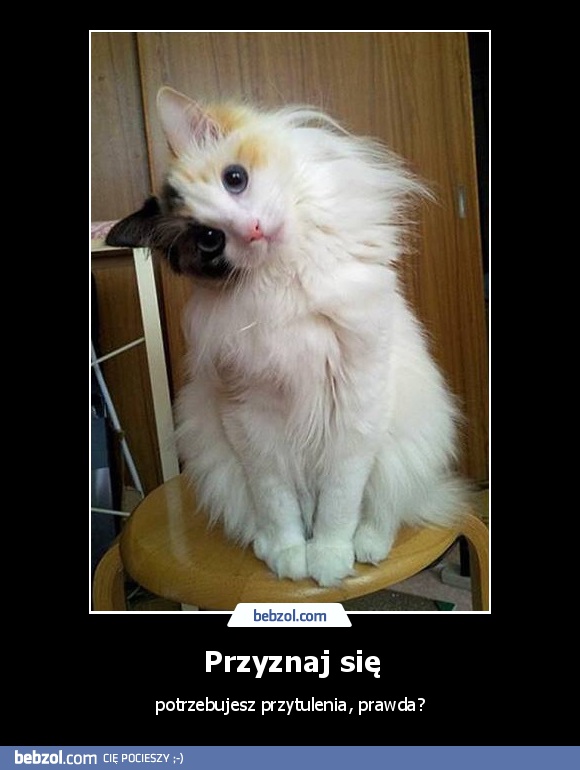 Przyznaj się