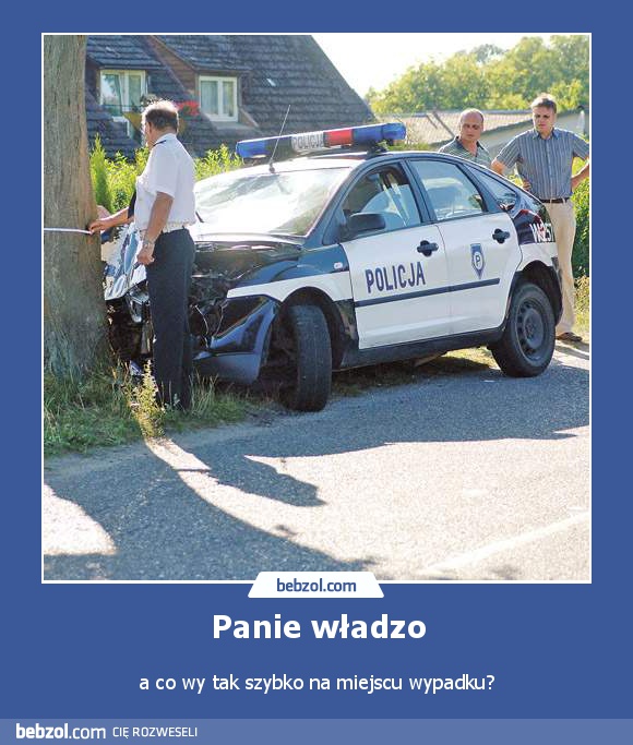 Panie władzo