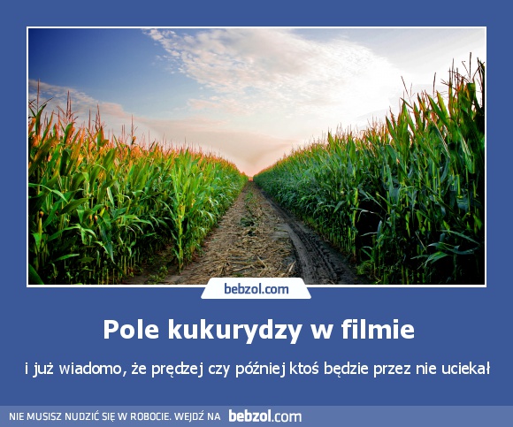 Pole kukurydzy w filmie