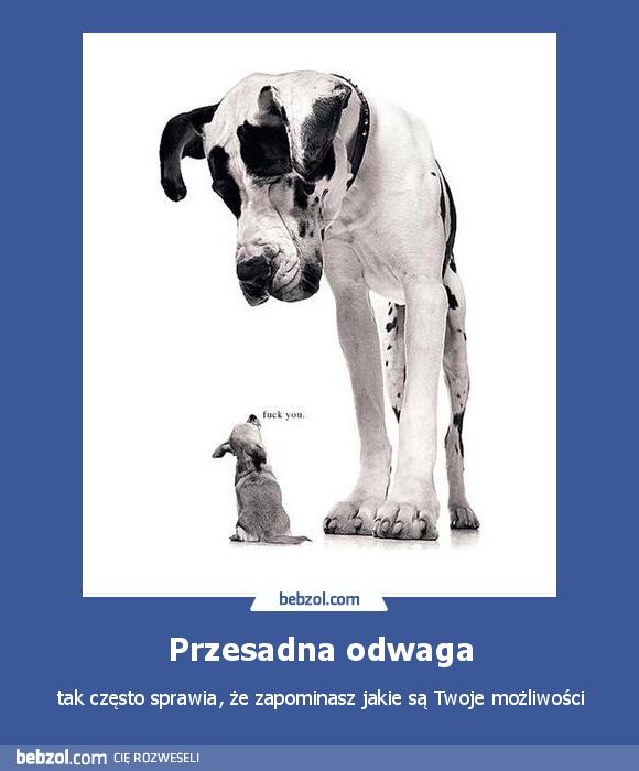 Przesadna odwaga