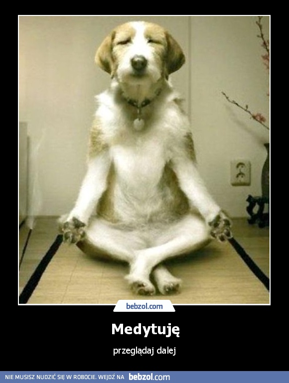 Medytuję