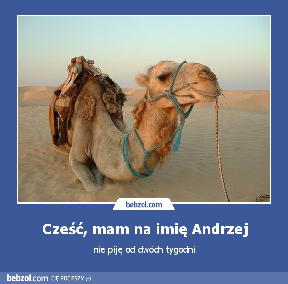 Cześć, mam na imię Andrzej