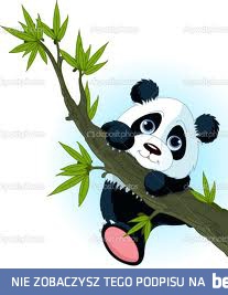 .....małe panda są  słodziutkie ...