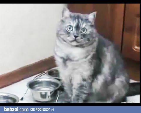 Super film - 539 sekund pozytywny