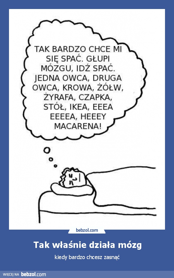 Tak właśnie działa mózg