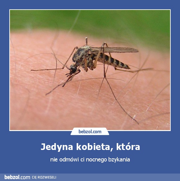Jedyna kobieta, która