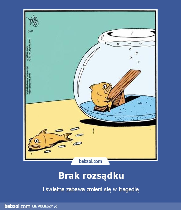 Brak rozsądku