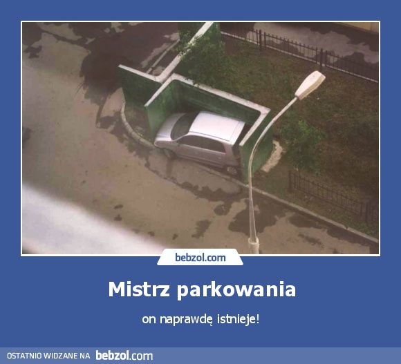 Mistrz parkowania