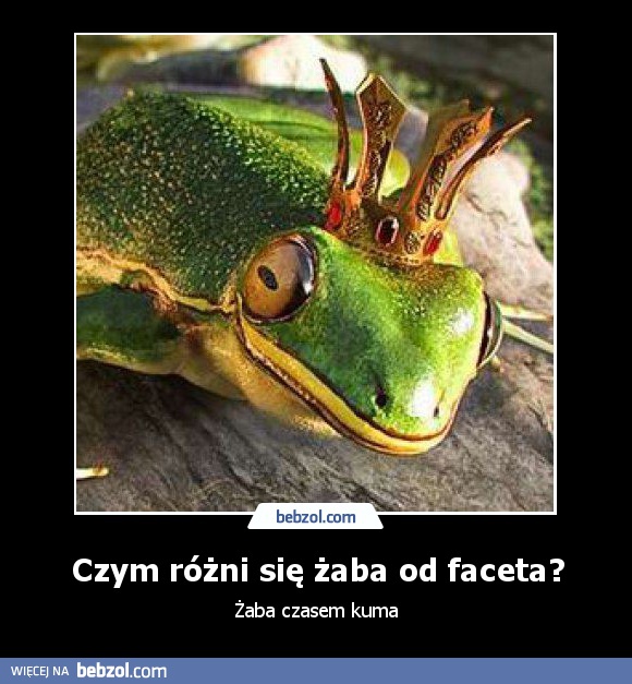 Czym różni się żaba od faceta?