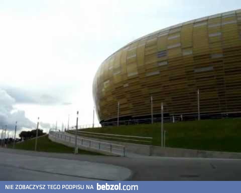 Jastrząb zaatakował Yorka