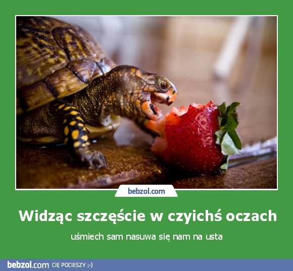 Widząc szczęście w czyichś oczach