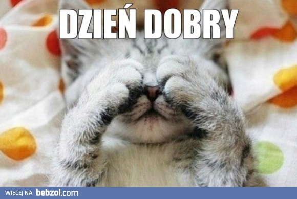 Dzień dobry