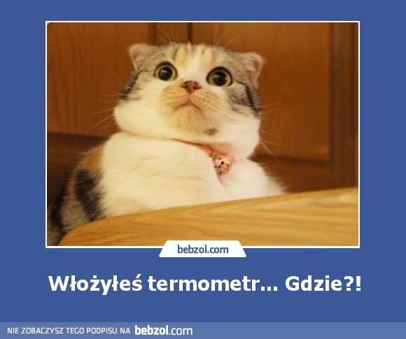 Włożyłeś termometr... Gdzie?!