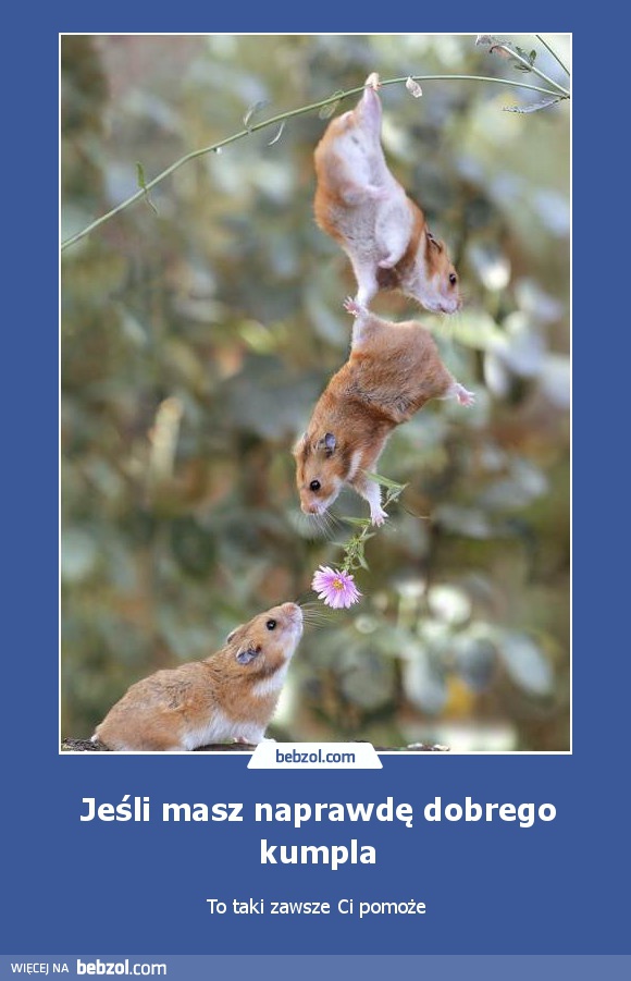 Jeśli masz naprawdę dobrego kumpla