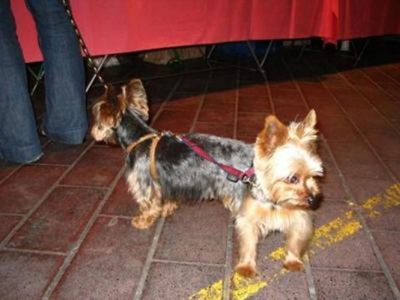 Perspektywa ma duże znaczenie (15 zdjęć)