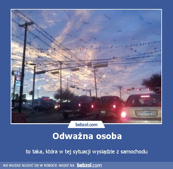 Odważna osoba