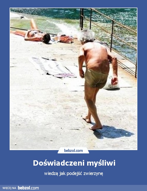 Doświadczeni myśliwi