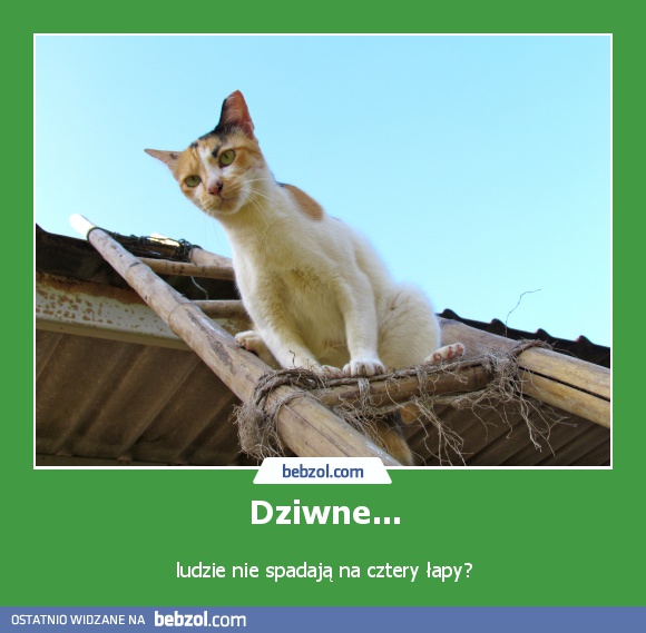 Dziwne...