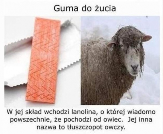 Wiesz co jesz? (9 zdjęć)