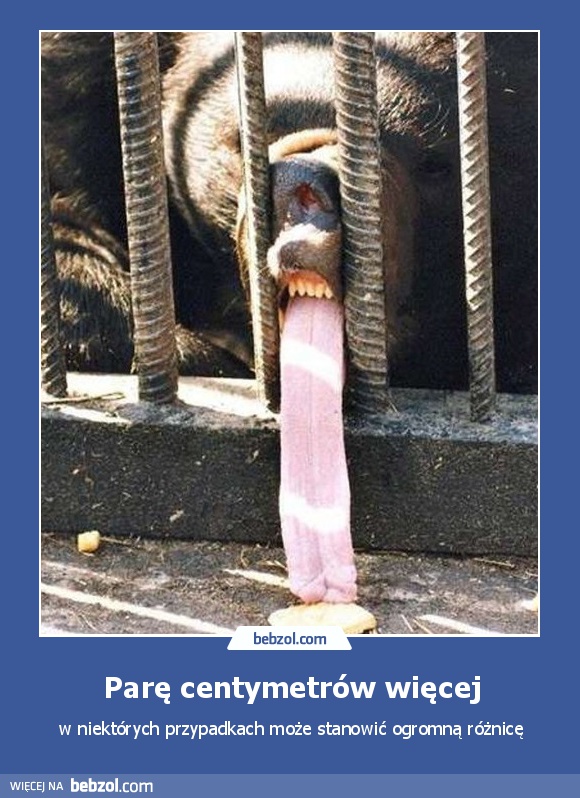 Parę centymetrów więcej