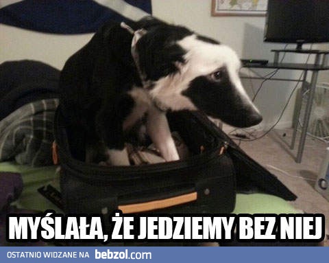 Wypad na długi weekend