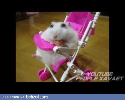 Super Video - 425 seconds positives