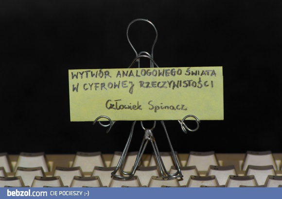 WYTWÓR ANALOGOWEGO ŚWIATA W CYFROWEJ RZECZYWISTOŚCI