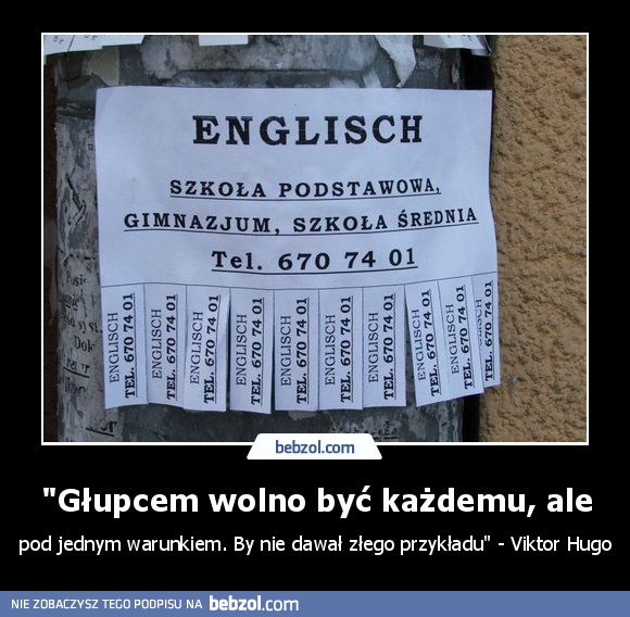 Głupcem wolno być każdemu, ale