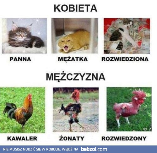 Kobiety vs. mężczyźni