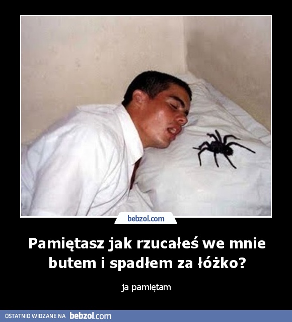 Pamiętasz jak rzucałeś we mnie butem i spadłem za łóżko?