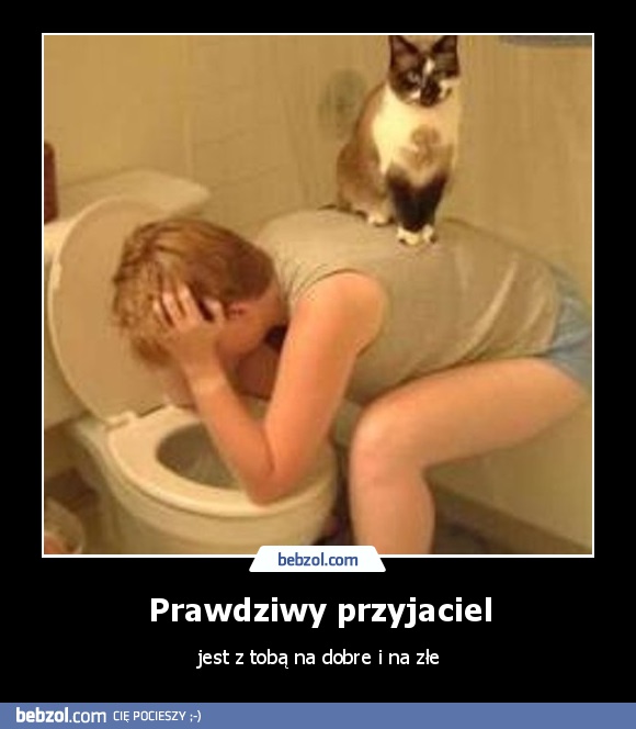 Prawdziwy przyjaciel