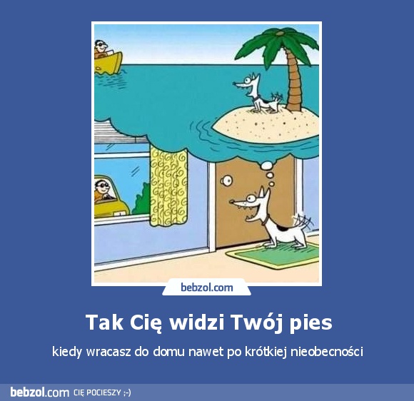Tak Cię widzi Twój pies