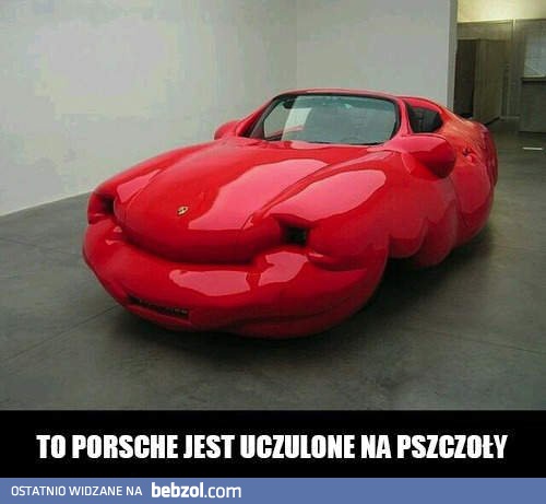 Uczulone Porsche