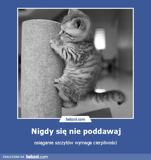 Nigdy się nie poddawaj