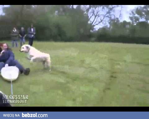 Kajakarstwo lądowe - to musiało się nie udać