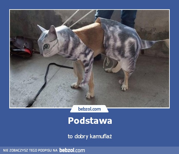 Podstawa