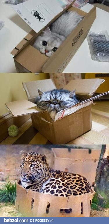 Rozmiar nie ma znaczenia