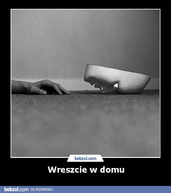 Wreszcie w domu