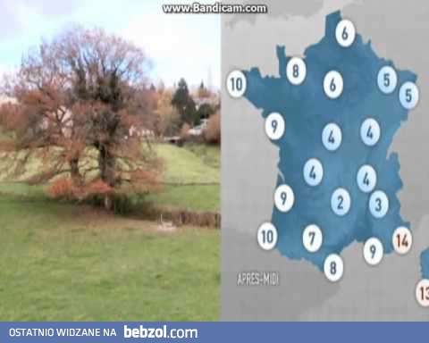 Francuska pogodynka prowadzi prognozę pogody nago