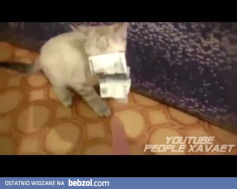 Super video - 347 Seconds positive