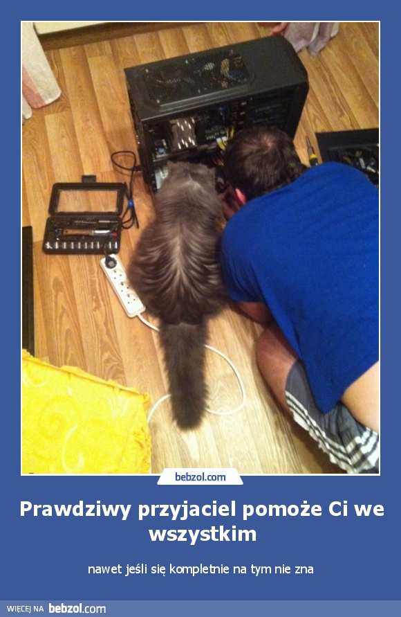 Prawdziwy przyjaciel pomoże Ci we wszystkim