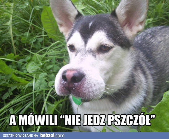 Trzeba było słuchać...