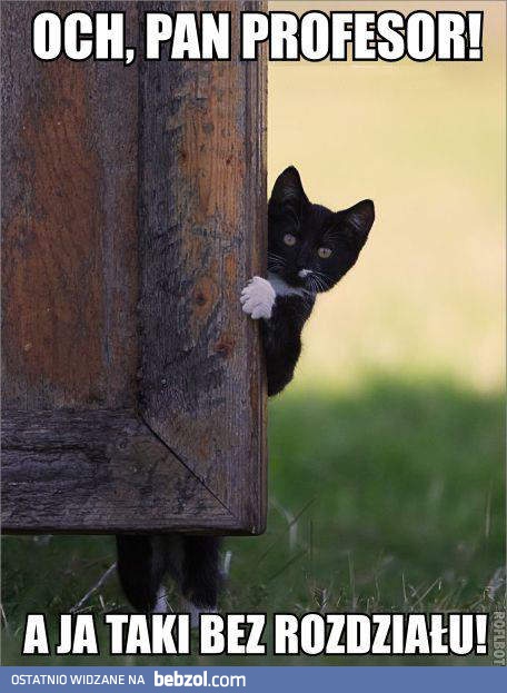 Och, Pan Profesor...