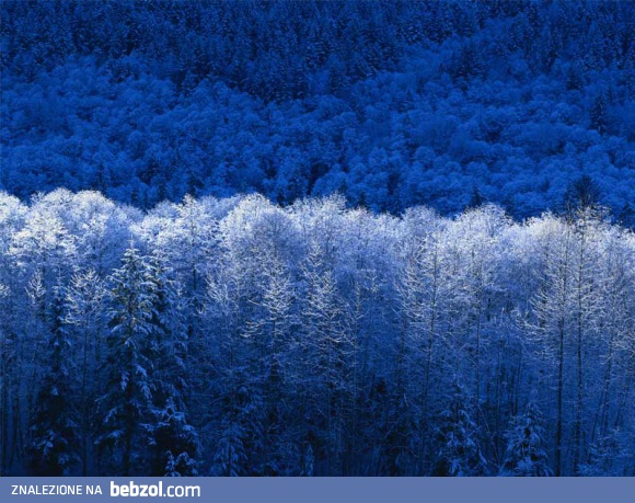 Pamiętam , jako dziecko nie mogłam się jej doczekać ;)