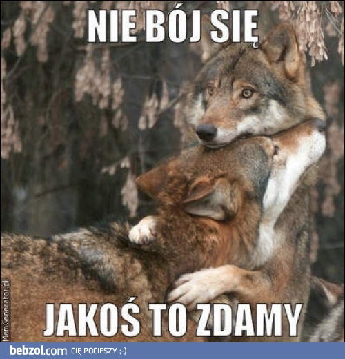 Już niedługo sezon na kolokwia