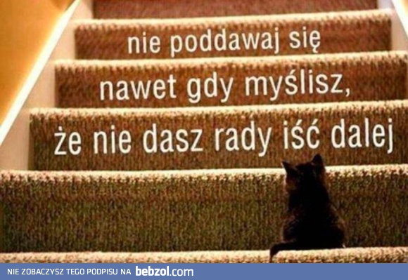 Nie poddawaj się
