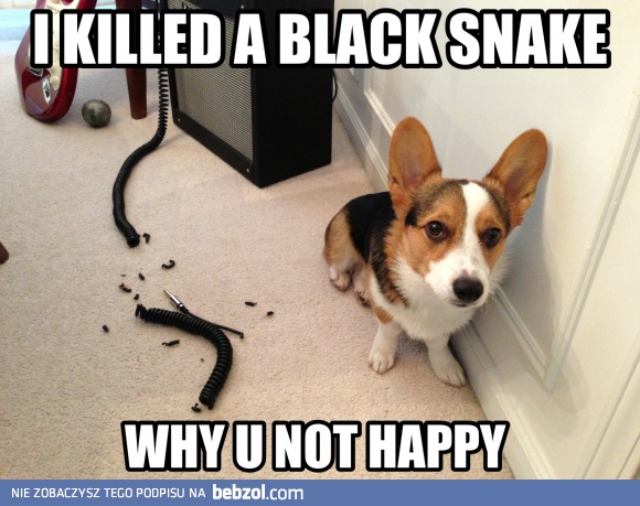 Zabiłem czarnego węża