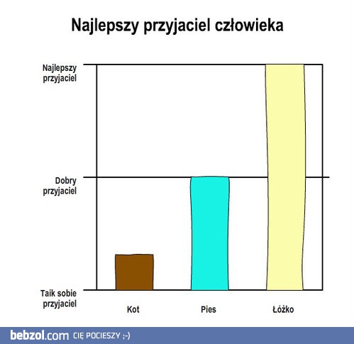 Najlepszy przyjaciel człowieka