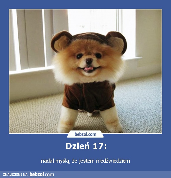 Dzień 17