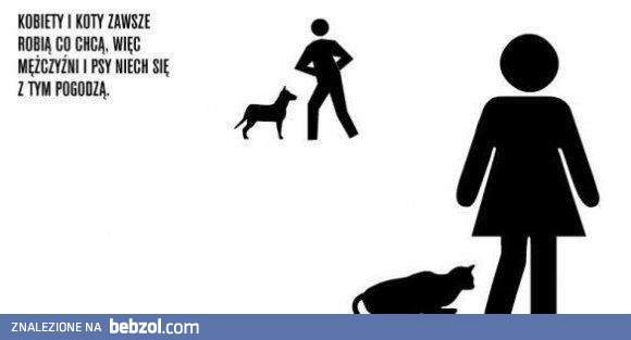 Kobiety i koty, mężczyźni i psy